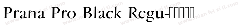 Prana Pro Black Regu字体转换
